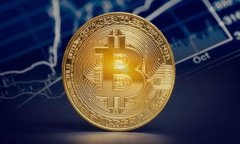 要查看 Tokenim 的登录 IP 地