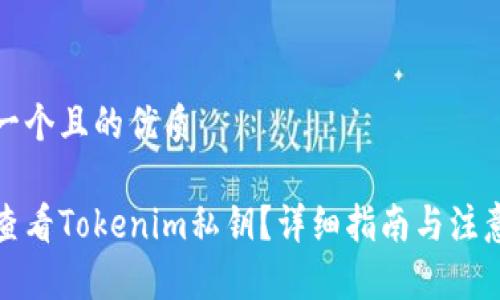 思考一个且的优质

如何查看Tokenim私钥？详细指南与注意事项
