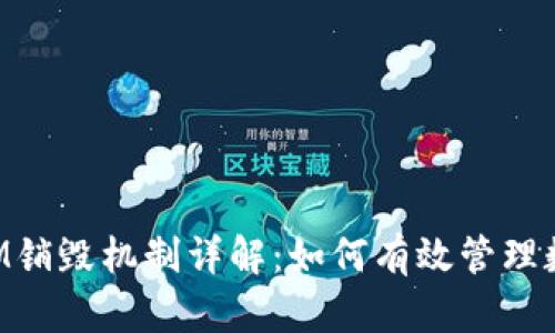 TokenIM销毁机制详解:如何有效管理数字资产