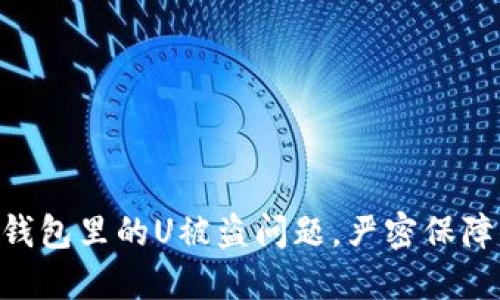 如何处理Tokenim钱包里的U被盗问题，严密保障你的数字资产安全