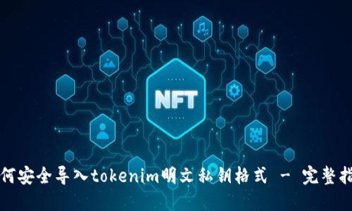 如何安全导入tokenim明文私钥格式 - 完整指南