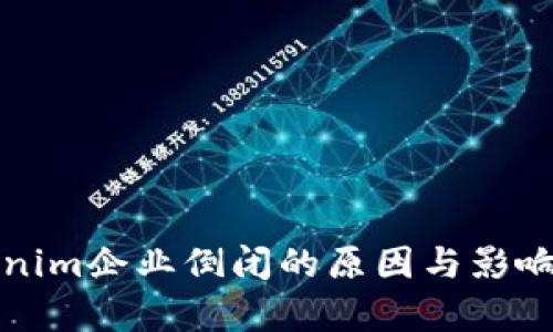 Tokenim企业倒闭的原因与影响分析