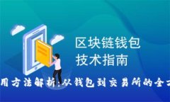 USDT使用方法解析：从钱包