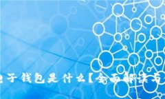 虚拟币电子钱包是什么？