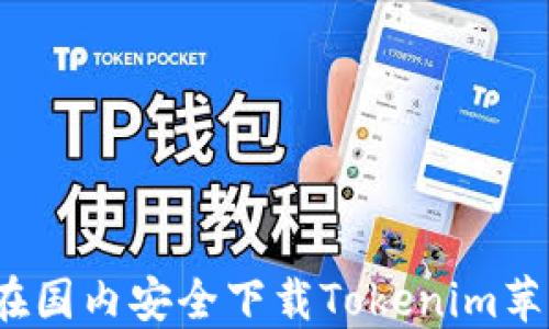 
如何在国内安全下载Tokenim苹果版？