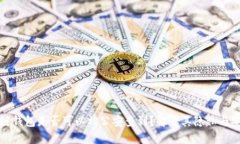 区块链钱包是否可以被公