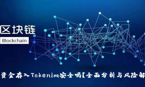 将资金存入Tokenim安全吗？全面分析与风险解读