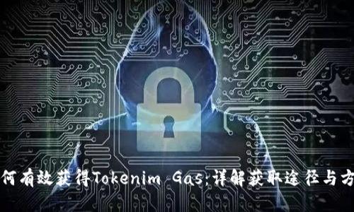 如何有效获得Tokenim Gas:详解获取途径与方法