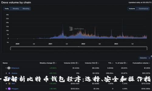 全面解析比特币钱包程序：选择、安全和操作指南