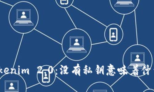 Tokenim 2.0：没有私钥意味着什么？