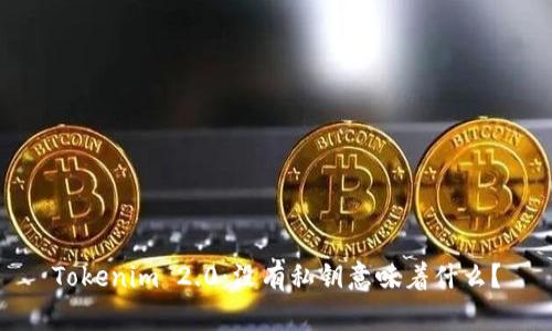 Tokenim 2.0：没有私钥意味着什么？