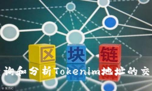 如何查询和分析Tokenim地址的交易记录