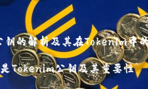 # 公钥的解析及其在Tokenim中的应用

什么是Tokenim公钥及其重要性