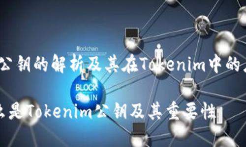# 公钥的解析及其在Tokenim中的应用

什么是Tokenim公钥及其重要性