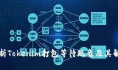 深入解析Tokenim打包等待现