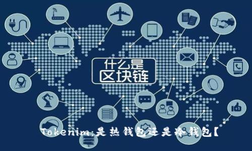 Tokenim:是热钱包还是冷钱包?