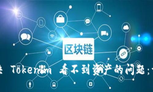如何解决 Tokenim 看不到资产的问题：详细指南