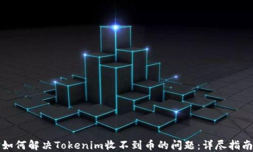 如何解决Tokenim收不到币的问题:详尽指南