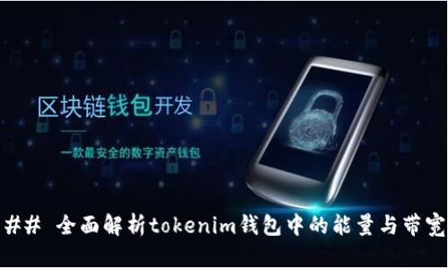 ## 全面解析tokenim钱包中的能量与带宽