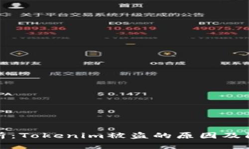 深入解析：Tokenim被盗的原因及防范措施