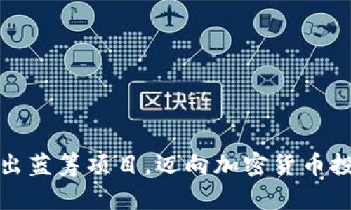如何成功推出蓝筹项目，迈向加密货币投资的新高度