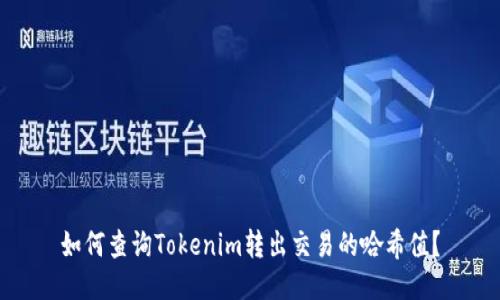 如何查询Tokenim转出交易的哈希值？
