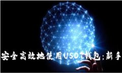 如何安全高效地使用USDT钱