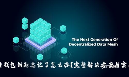 区块链钱包钥匙忘记了怎么办？完整解决方案与实用建议