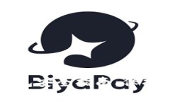 区块链数字钱包安全指南