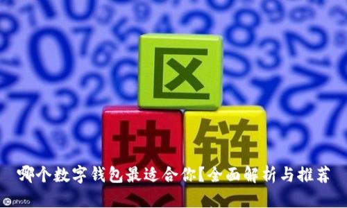 哪个数字钱包最适合你？全面解析与推荐