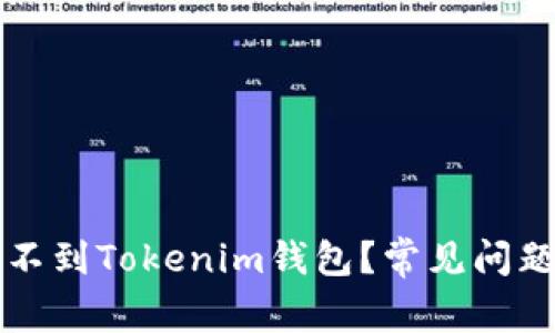为什么币转不到Tokenim钱包？常见问题与解决方案