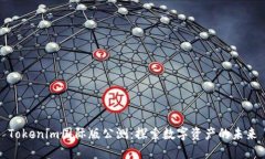 Tokenim国际版公测：探索数