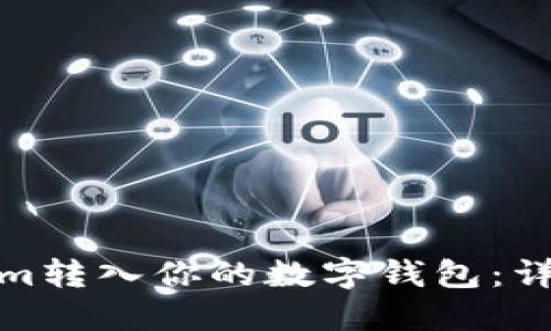 如何将Tokenim转入你的数字钱包：详细指南与步骤