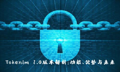 Tokenim 1.0版本解析：功能、优势与未来