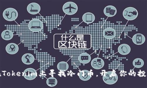 如何在Tokenim上寻找冷门币，开启你的投资之路