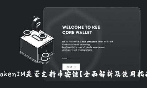 TokenIM是否支持币安链？全面解析及使用指南