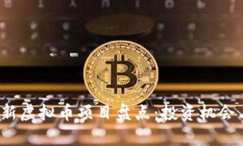 2023年最新虚拟币项目盘点：投资机会与风险分析