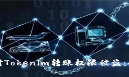 如何应对Tokenim转账权限被盗：全面指南