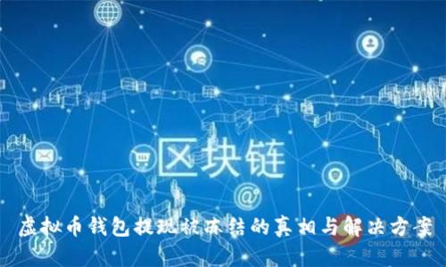 虚拟币钱包提现被冻结的真相与解决方案