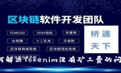 如何解决Tokenim没有矿工费