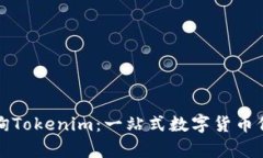 如何有效查询Tokenim：一站