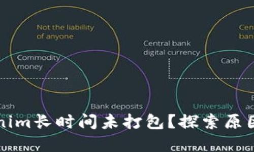 为什么Tokenim长时间未打包？探索原因及解决方案