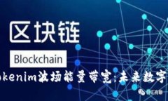 深入了解Tokenim波场能量带