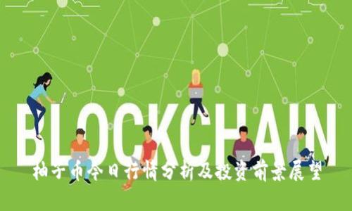 柚子币今日行情分析及投资前景展望