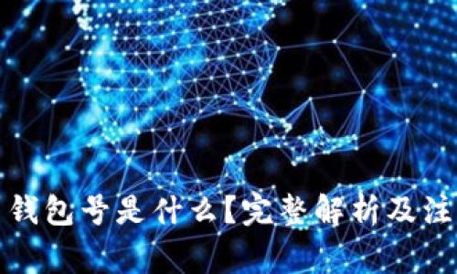 数字币钱包号是什么？完整解析及注意事项