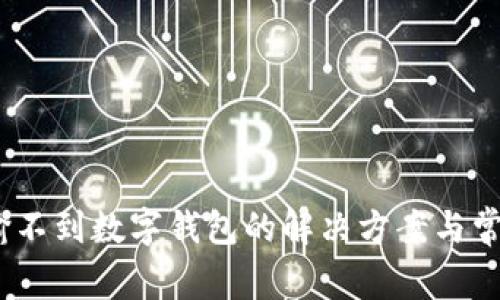 ADCC币运输不到数字钱包的解决方案与常见问题分析