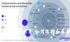 虚拟币猫：加密宠物界的新星，如何选择和养护