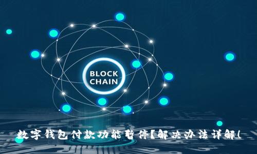 数字钱包付款功能暂停？解决办法详解！