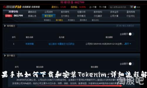 苹果手机如何下载和安装Tokenim：详细流程解析