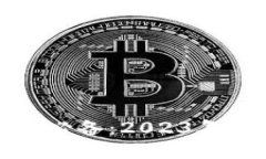 数字货币小白必备：2023年